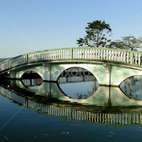 Ponte na serra, Espírito Santo. by Lígia Halmenschlager - Buildings & Architecture Bridges & Suspended Structures