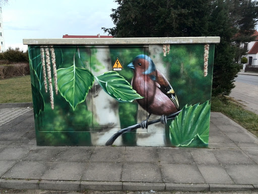 Birdie Mural
