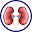 Nephrology Clinical Tool Download on Windows