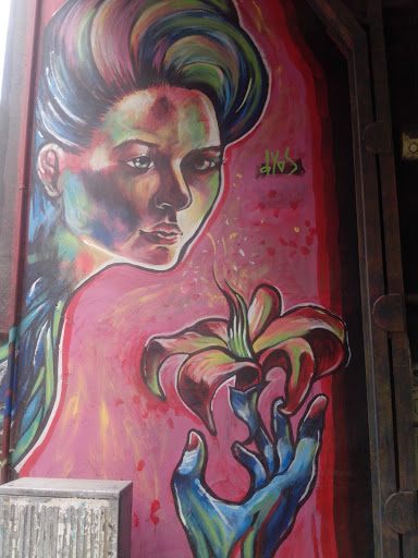 Mural Flor De Mujer