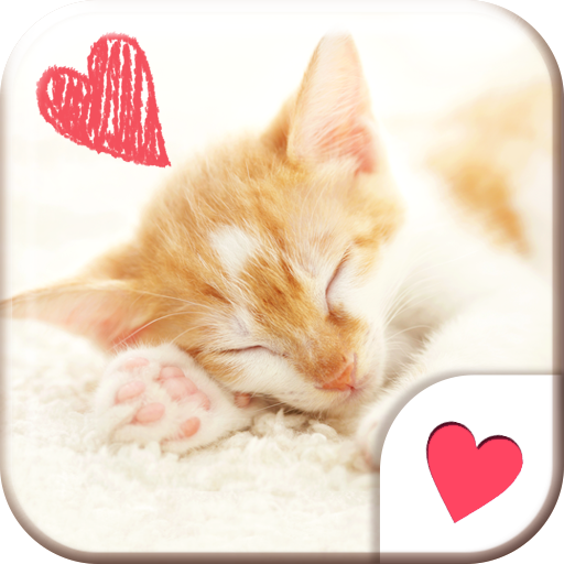 Cute wallpaper★Sleeping Cat 個人化 App LOGO-APP開箱王