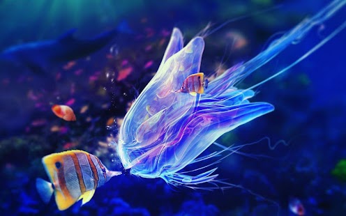 How to install Aquarium HD Wallpaper 1.0 apk for pc