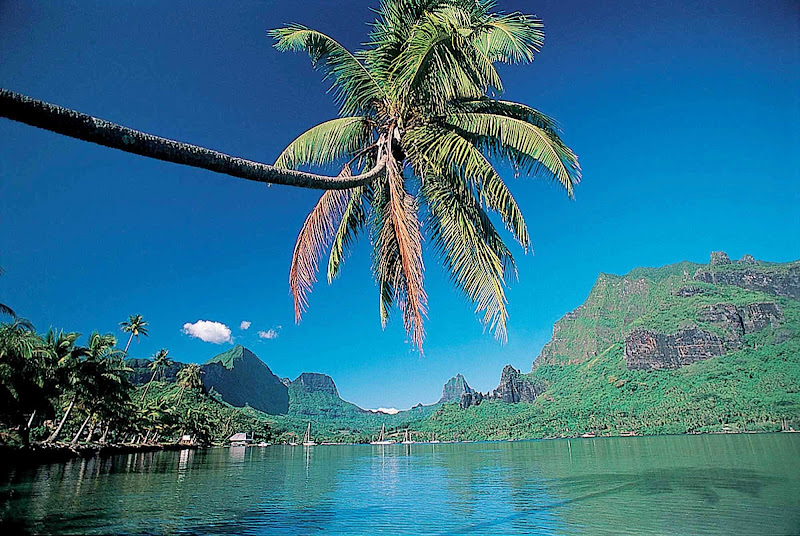 Mt. Rotui towers over Opunohu Bay in western Mo'orea.