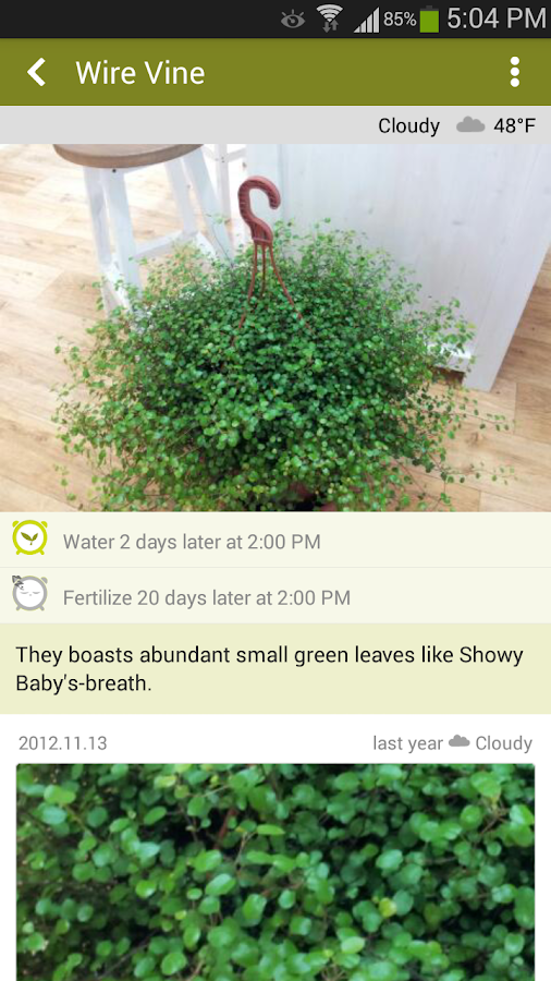 xjfBbv5huIaLKZiku0uZdNUPtgLvnM4kDop8kjfou849eyHwYl9bdcEmxBFjxADCYA=h900