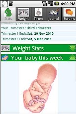 Happy Pregnancy Ticker