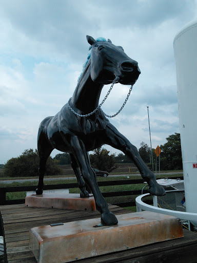 Brownsboro Hardware Horse