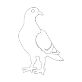 Whicons - White Icon Pack