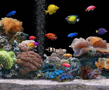 How to get Aquarium Live Wallpaper 1.0 apk for bluestacks