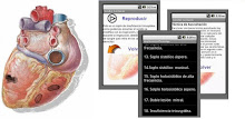 Sonidos Cardiacos APK