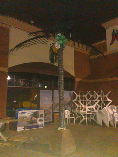 Los Bravos Palm Tree