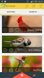 How to mod Bird Sounds Ringtones 1.3 unlimited apk for bluestacks