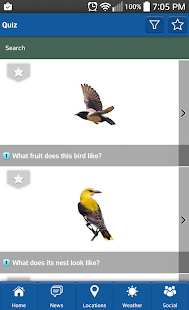 Download BirdWING APK for Android