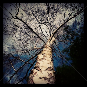 by Alannah Melton - Uncategorized All Uncategorized