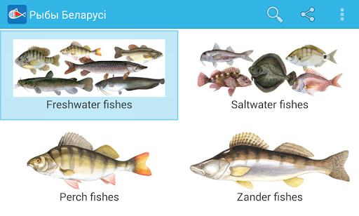 免費下載書籍APP|Рыбы Беларусі app開箱文|APP開箱王