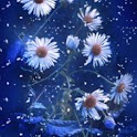 Daisy Flower Petals Flying logo