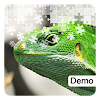 Lizard Jigsaw Puzzles Demo