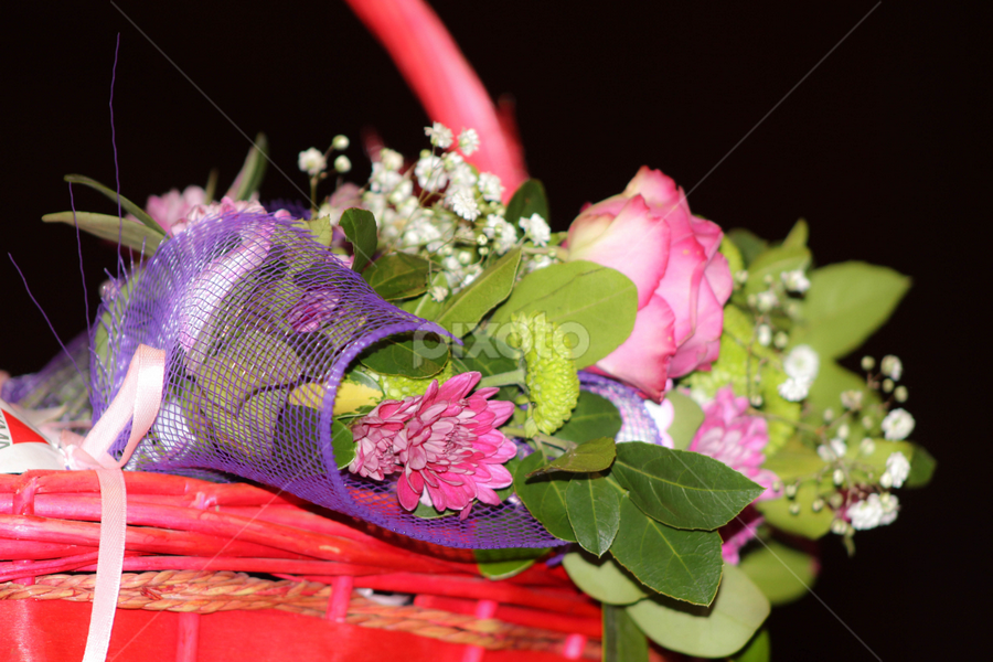 A ROSE SPEAKS OF LOVE SILENTLY , IN A LANGUAGE KNOWN ONLY TO THE HEART.... by Karim Sabbagh - Flowers Flower Arangements