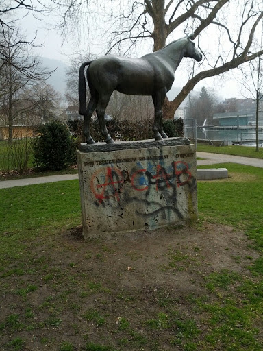 Pferd beim Aarebad