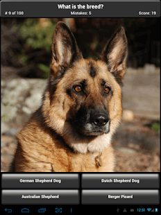  Dog Breed Quiz  