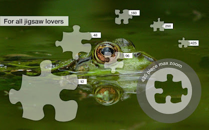 Frog Jigsaw Puzzles Demo poster 2