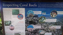 Respecting Coral Reefs