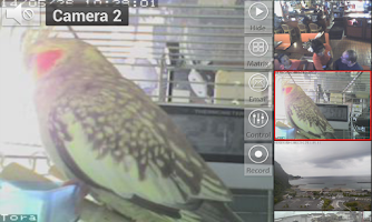 Viewer for AVIOSYS IP cameras APK צילום מסך #4