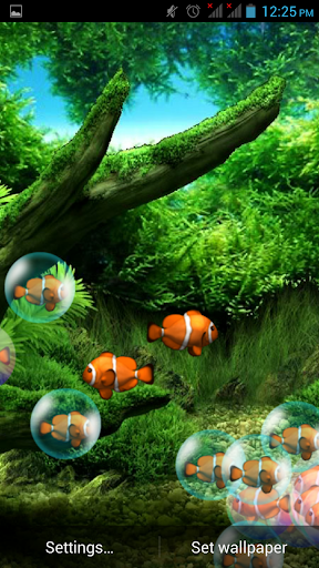 免費下載娛樂APP|Bubble Fish Live Wallpaper app開箱文|APP開箱王