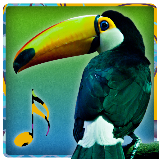 音乐の鳥が聞こえる - 着メロを LOGO-HotApp4Game