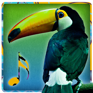 Bird Sounds - Ringtones.apk 1.4