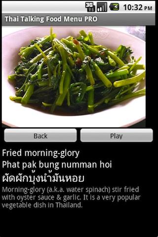 Thai Talking Food Menu Pro Screen 3