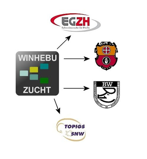 Winhebu Zucht