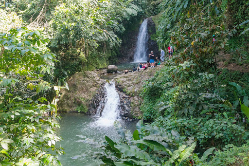 Seven-Sisters-Waterfalls-Grenada - Seven Sisters Waterfalls on Grenada.