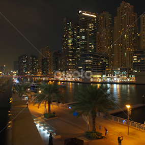 Dubai by Adriana Bleau - City,  Street & Park Skylines