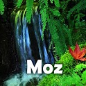Tropic rain forest stress logo
