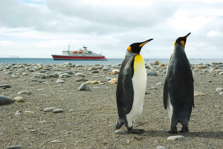 Two emperor penguins in Salisbury Plains, Antarctica, during a G Adventures expedition.