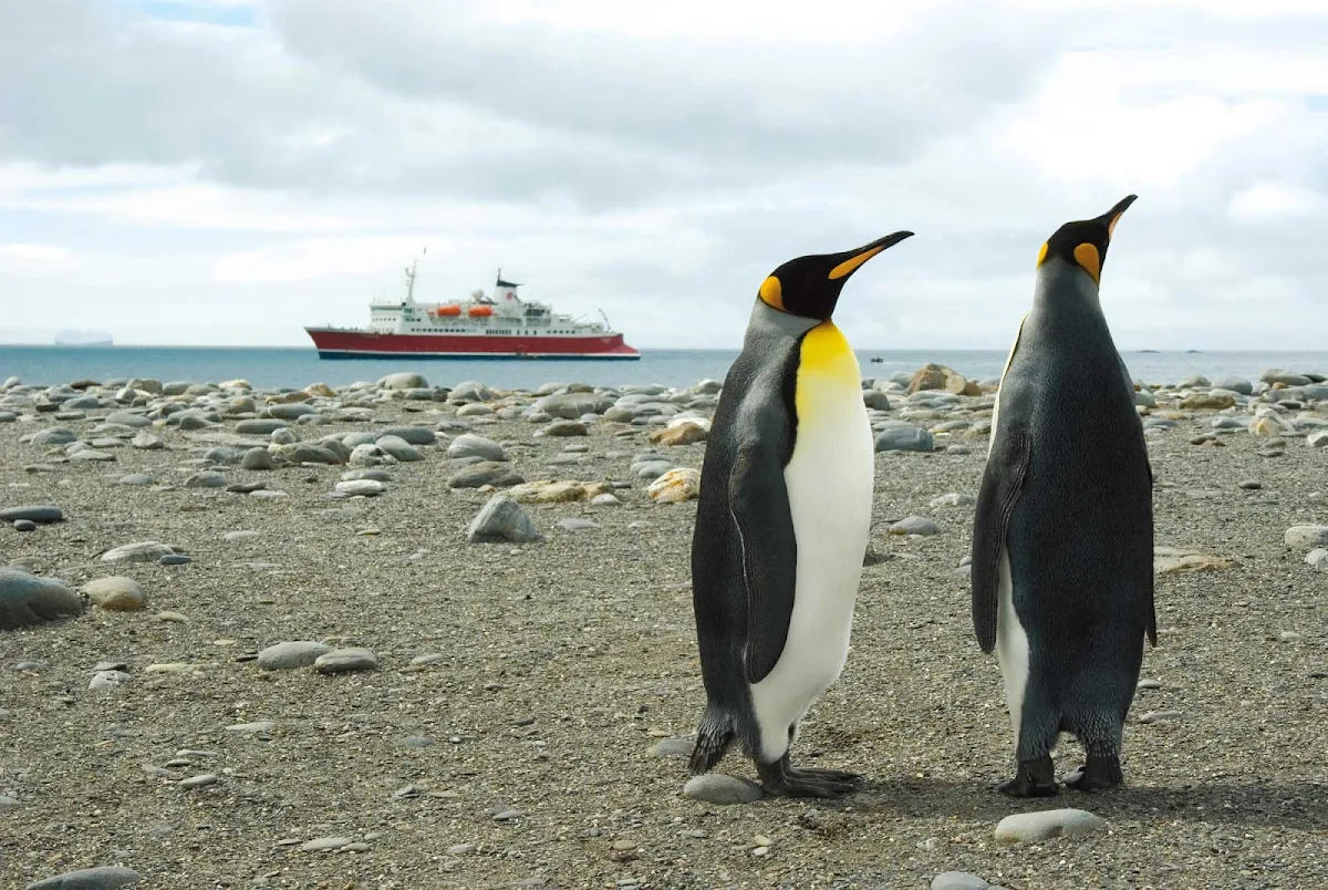 Antarctica-Expedition-Salisbury-Plains-Penguins - Two emperor penguins in Salisbury Plains, Antarctica, during a G Adventures expedition.