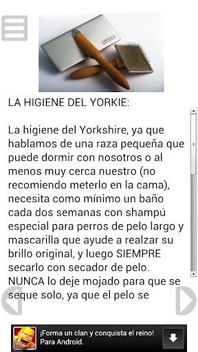 【免費書籍App】El Yorkshire Terrier-APP點子