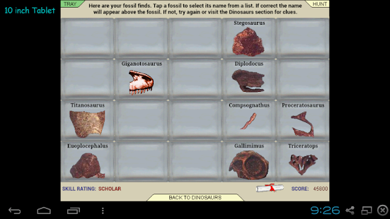download Dinosaur Hunt free