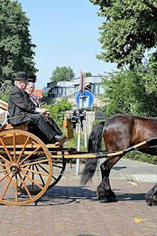 Horse-drawn Vehicle Puzzle poster 3