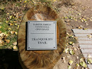 Tranquility Trail Head