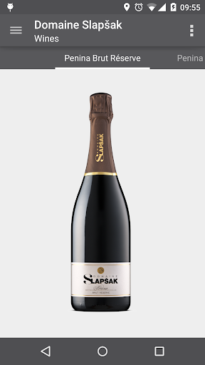 Domaine Slapsak