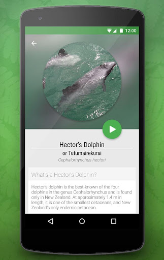 【免費教育App】Marine Life of NZ Free-APP點子