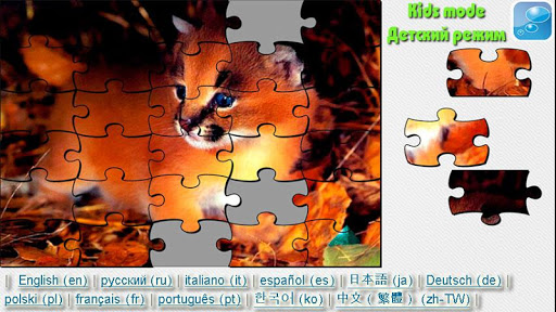 Cats and Kittens Puzzle