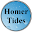 Homer Tide Tables (Tablet) Download on Windows