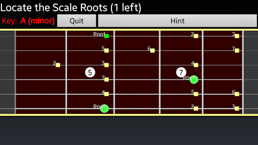 RR Guitar Scale Trainer