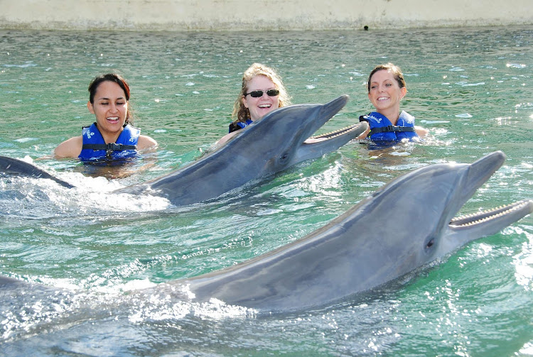 Swimming with dolphins in Cancun. 