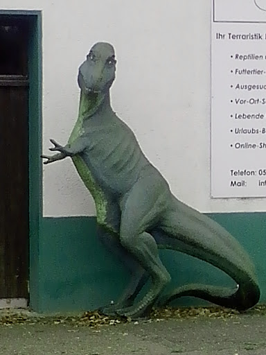 Tyranosaurus Niehorstus 