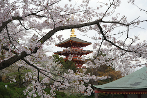 Japanese beauty by Hiro Kitamura -  