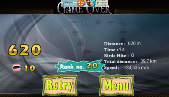 Granny Fly Screenshots 2