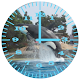 Killer Whale 2 Analog Clock APK